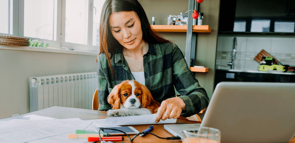  Woman working from home with her dog 