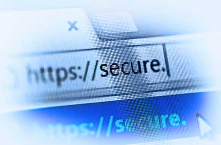 Secure website integration