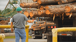 Keeping the Lumber Industry Truckin' with Rex Lumber