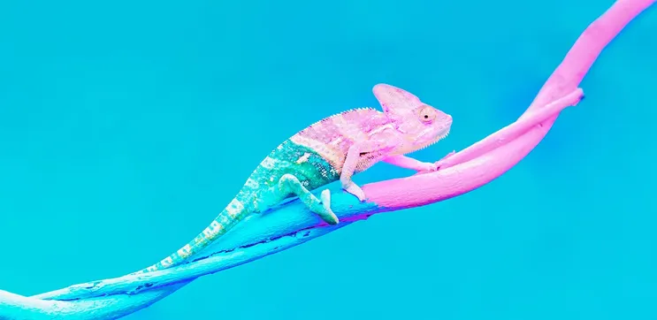 Vince Mayfield's August FWB Chamber Letter