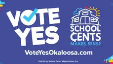 Voting graphic