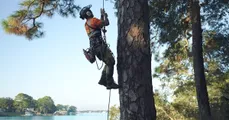 Backridge Tree Service