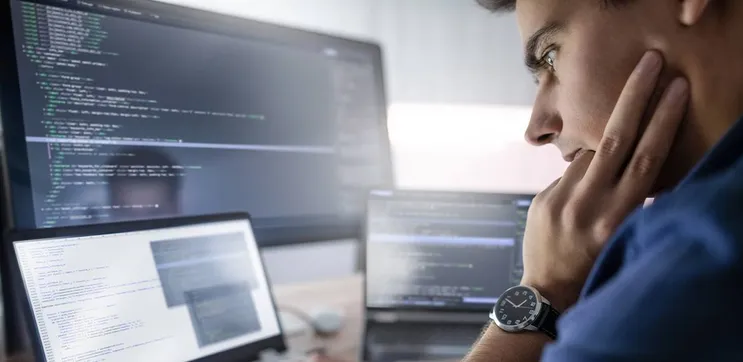 Custom Software Development Life Cycle