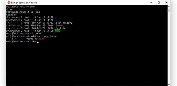 bash shell for windows command