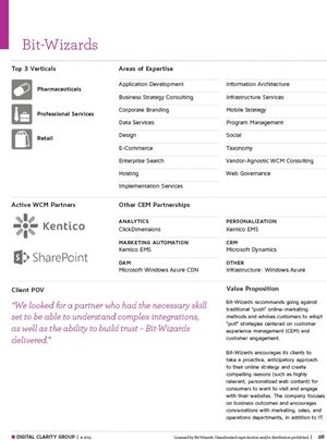 Digital Clarity Report